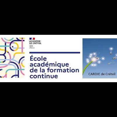 Les stages et FFO du PAF organisés par la CARDIE en 2022-2023